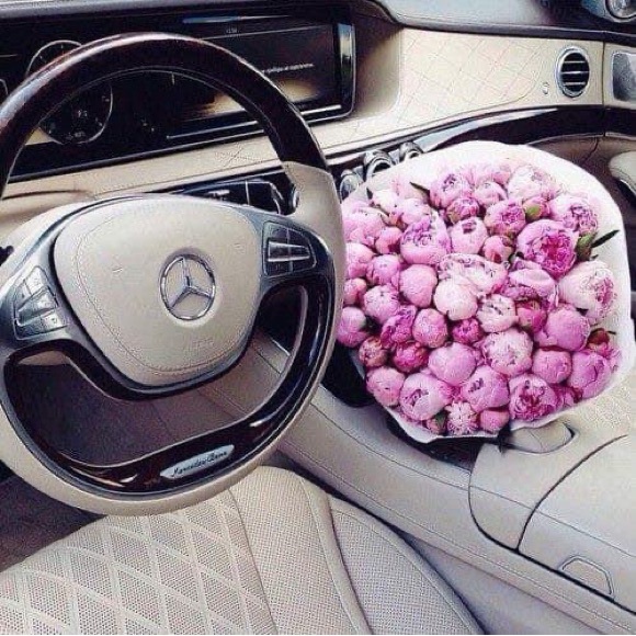 Meet your Posher, Diane - Picture 14 of 15